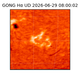 gong - 2026-06-29T08:00:02
