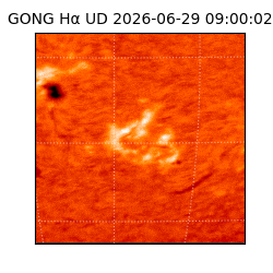 gong - 2026-06-29T09:00:02