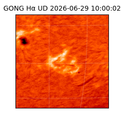 gong - 2026-06-29T10:00:02