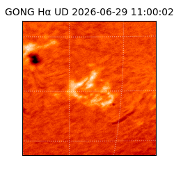 gong - 2026-06-29T11:00:02