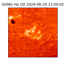 gong - 2026-06-29T12:00:02