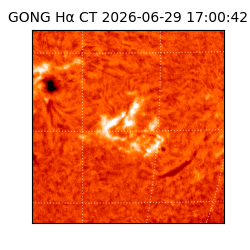 gong - 2026-06-29T17:00:42