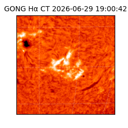 gong - 2026-06-29T19:00:42