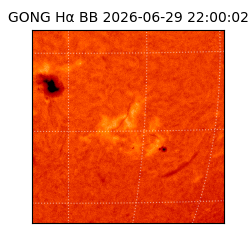 gong - 2026-06-29T22:00:02
