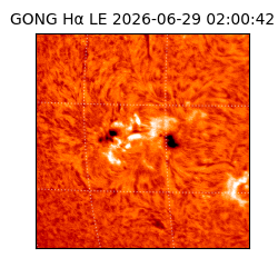 gong - 2026-06-29T02:00:42
