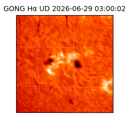 gong - 2026-06-29T03:00:02