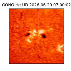 gong - 2026-06-29T07:00:02