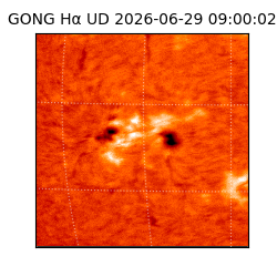 gong - 2026-06-29T09:00:02