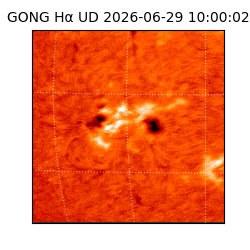 gong - 2026-06-29T10:00:02