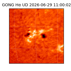 gong - 2026-06-29T11:00:02