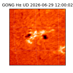 gong - 2026-06-29T12:00:02