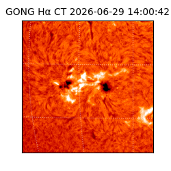 gong - 2026-06-29T14:00:42