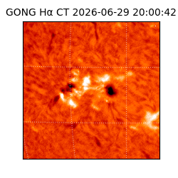 gong - 2026-06-29T20:00:42