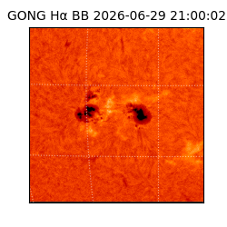 gong - 2026-06-29T21:00:02
