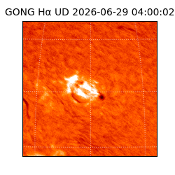 gong - 2026-06-29T04:00:02