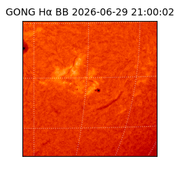 gong - 2026-06-29T21:00:02