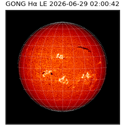 gong - 2026-06-29T02:00:42