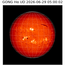 gong - 2026-06-29T05:00:02