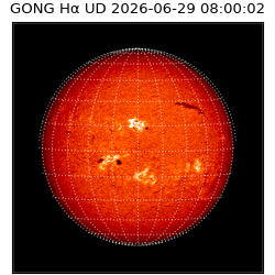 gong - 2026-06-29T08:00:02