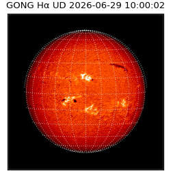 gong - 2026-06-29T10:00:02