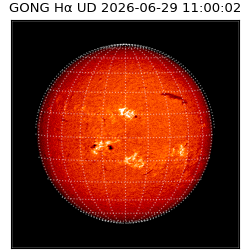 gong - 2026-06-29T11:00:02