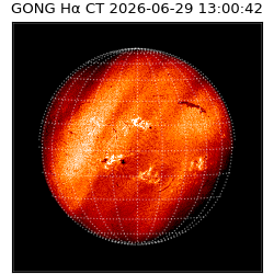 gong - 2026-06-29T13:00:42