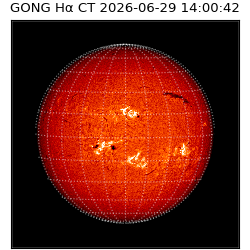 gong - 2026-06-29T14:00:42
