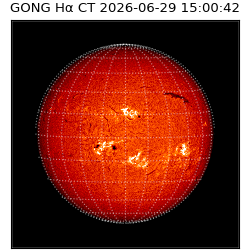 gong - 2026-06-29T15:00:42