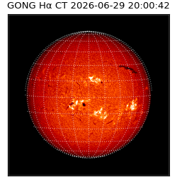 gong - 2026-06-29T20:00:42