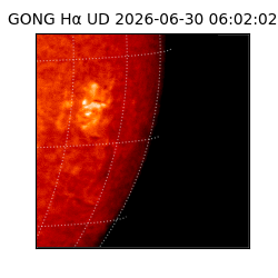 gong - 2026-06-30T06:02:02