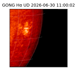 gong - 2026-06-30T11:00:02