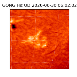 gong - 2026-06-30T06:02:02