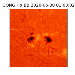 gong - 2026-06-30T01:00:02