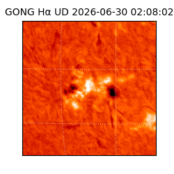 gong - 2026-06-30T02:08:02