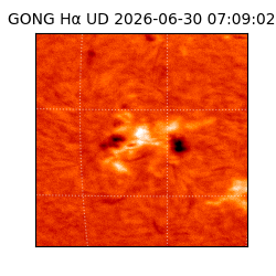 gong - 2026-06-30T07:09:02