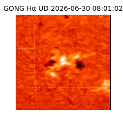 gong - 2026-06-30T08:01:02