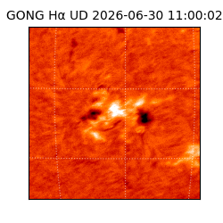 gong - 2026-06-30T11:00:02