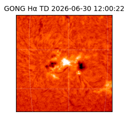 gong - 2026-06-30T12:00:22