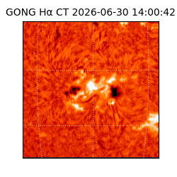 gong - 2026-06-30T14:00:42