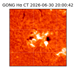 gong - 2026-06-30T20:00:42