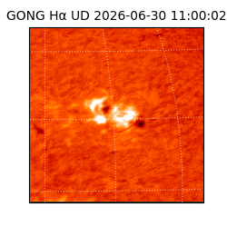 gong - 2026-06-30T11:00:02