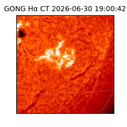 gong - 2026-06-30T19:00:42