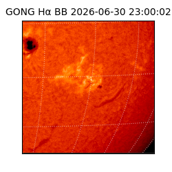 gong - 2026-06-30T23:00:02