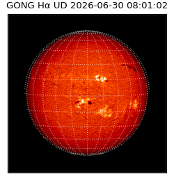 gong - 2026-06-30T08:01:02