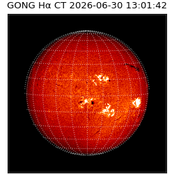gong - 2026-06-30T13:01:42