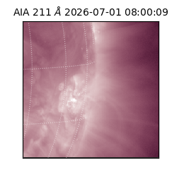 saia - 2026-07-01T08:00:09.636000