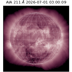 saia - 2026-07-01T03:00:09.624000