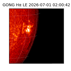 gong - 2026-07-01T02:00:42