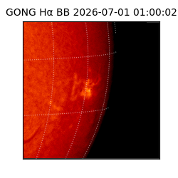 gong - 2026-07-01T01:00:02