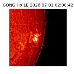gong - 2026-07-01T02:00:42